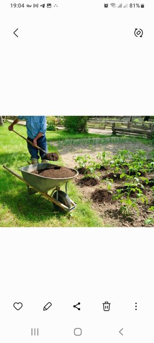 Чувалчанглар аксияда