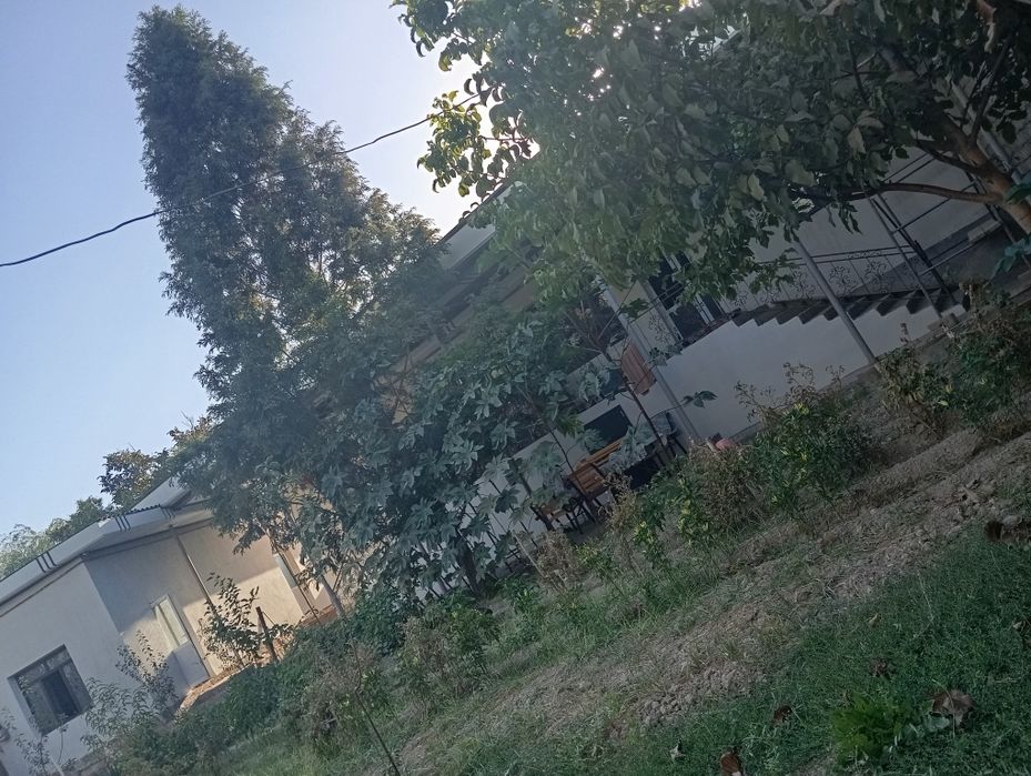 Учаска Нуравшон шахарда сентирда