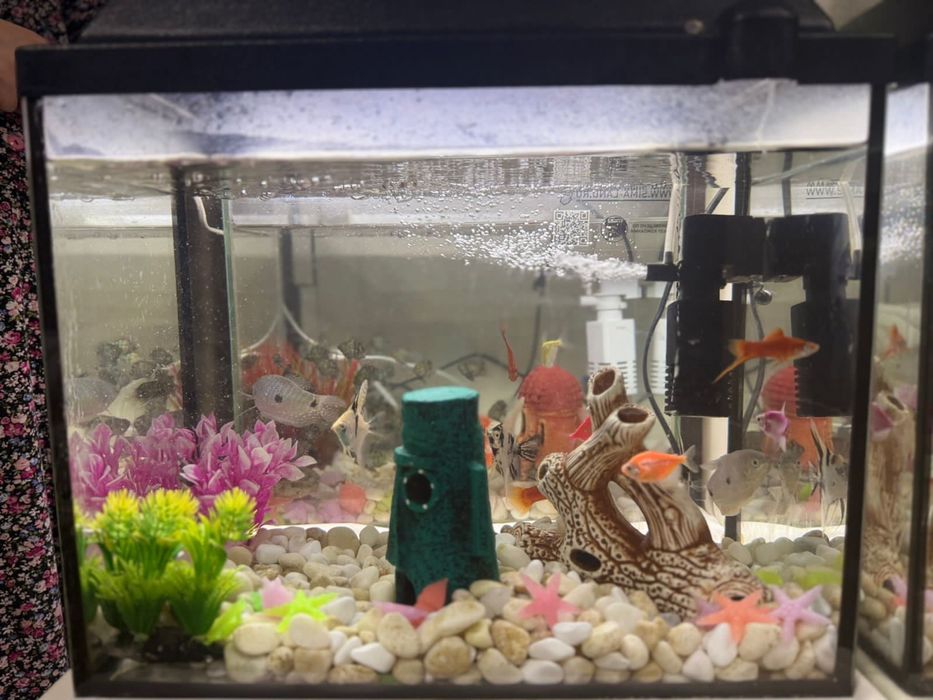 Аквариум Новый Для падорок