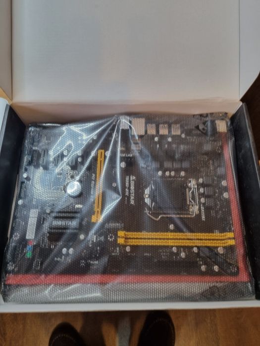 Placa baza biostar tb250-btc pro