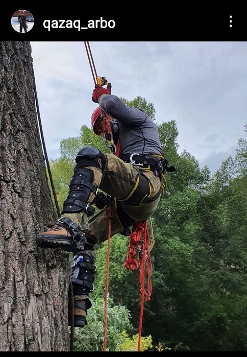 Спил подрезка аварийных деревьев.