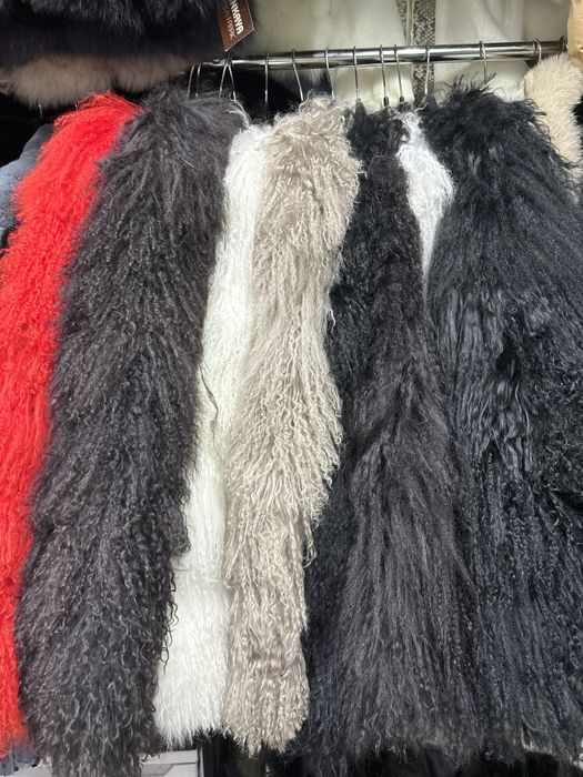 Mongolian Fur Blana