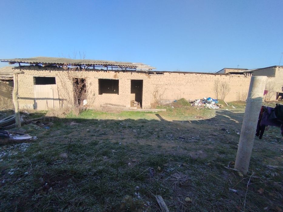 Тошкент вилояти, Янгийул туман, Нихол Махалласида Ер сотилад