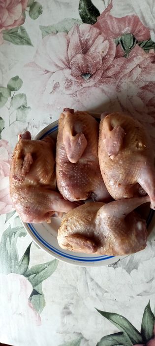 Продам мясо перепелов