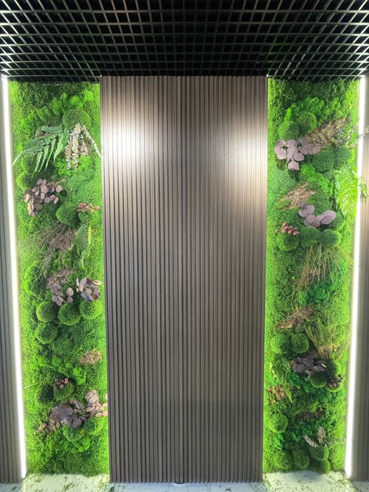 стабилизированный моx