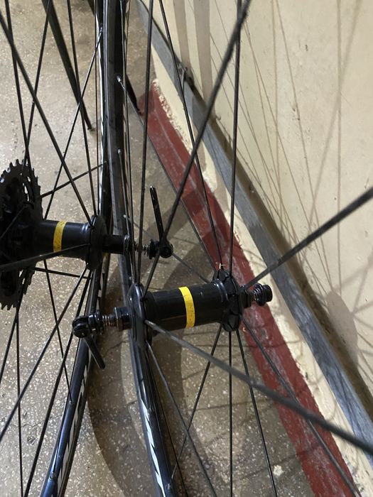 Roti mavic 28 cursiera