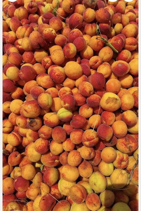 Vand. Caise. De tuica. Palinca. Dulceata etc.