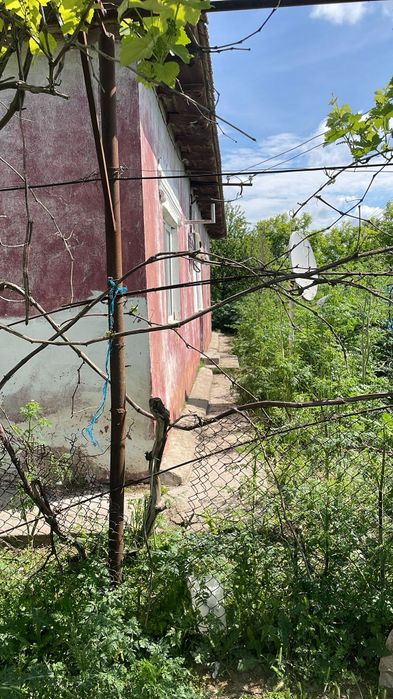Vand casa Tepes Voda