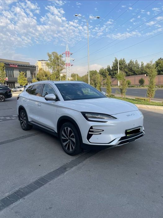 byd  chenpiyon 605 ful 2024