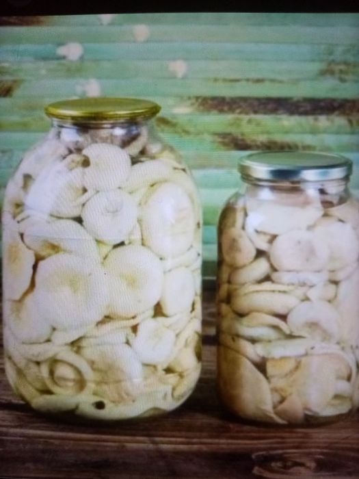 Грибы соленые , грузди