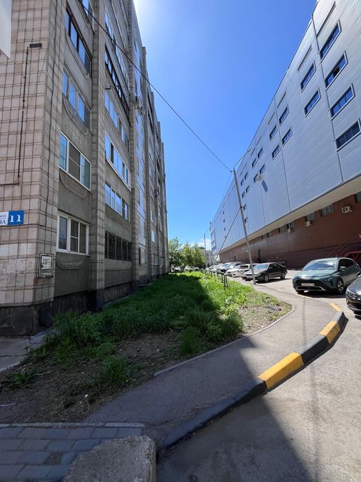 Продам 2-х Пермитина 11, 1/9