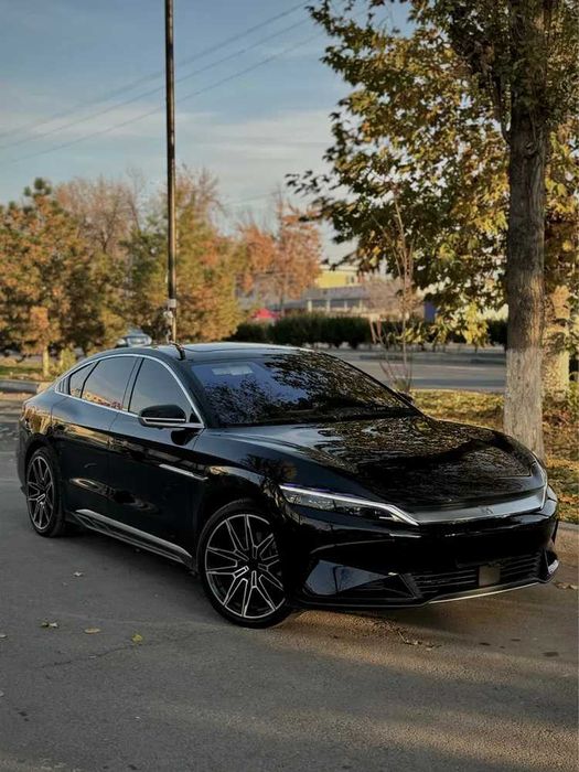 BYD Han 506 pod zakaz