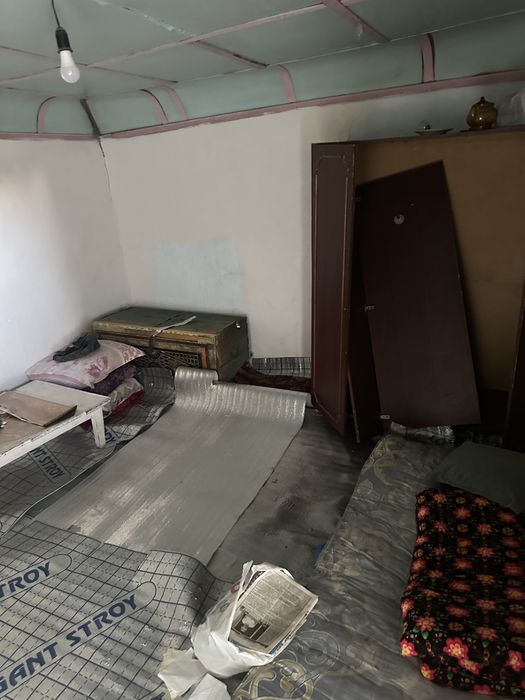 Отдам бесплатно текингааааа факат чикиндиларни хам олиб кетиш керак