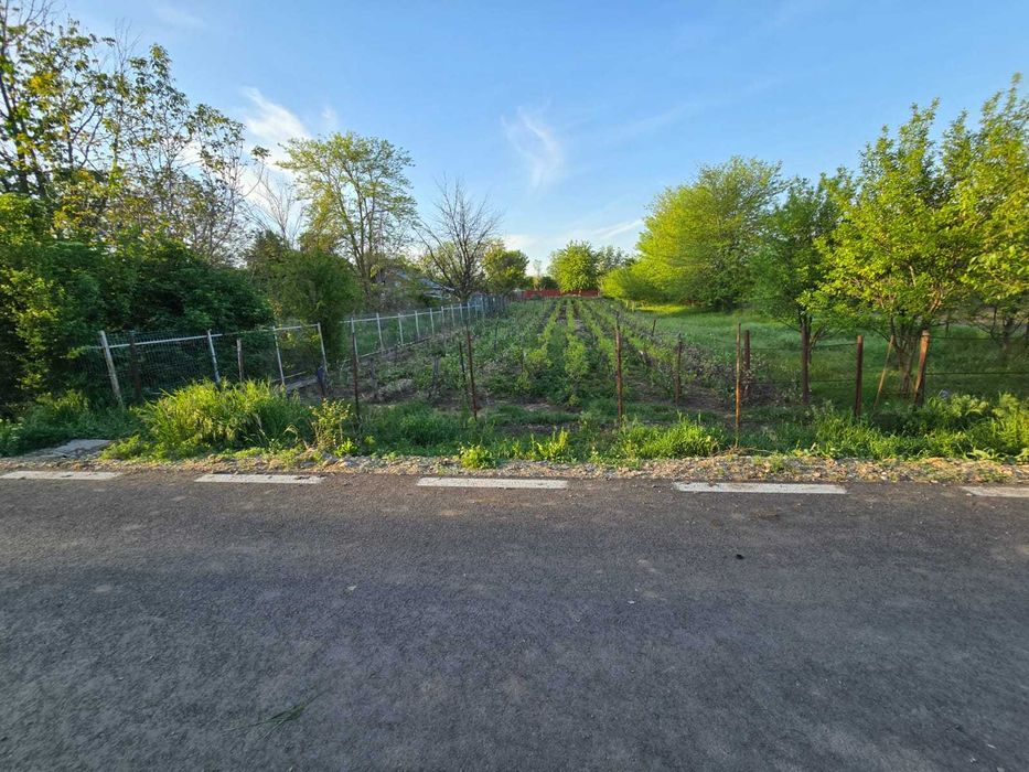 Teren intravilan 1200mp - Valea Argovei, Calarasi