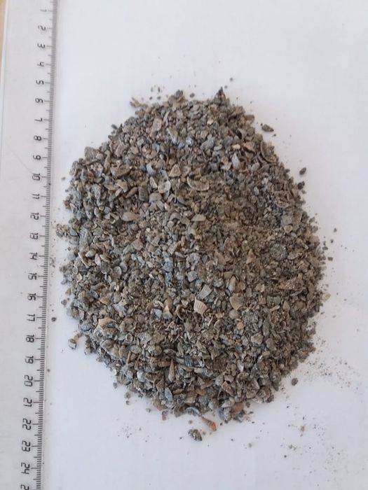 Ракушка оптом и в розницу