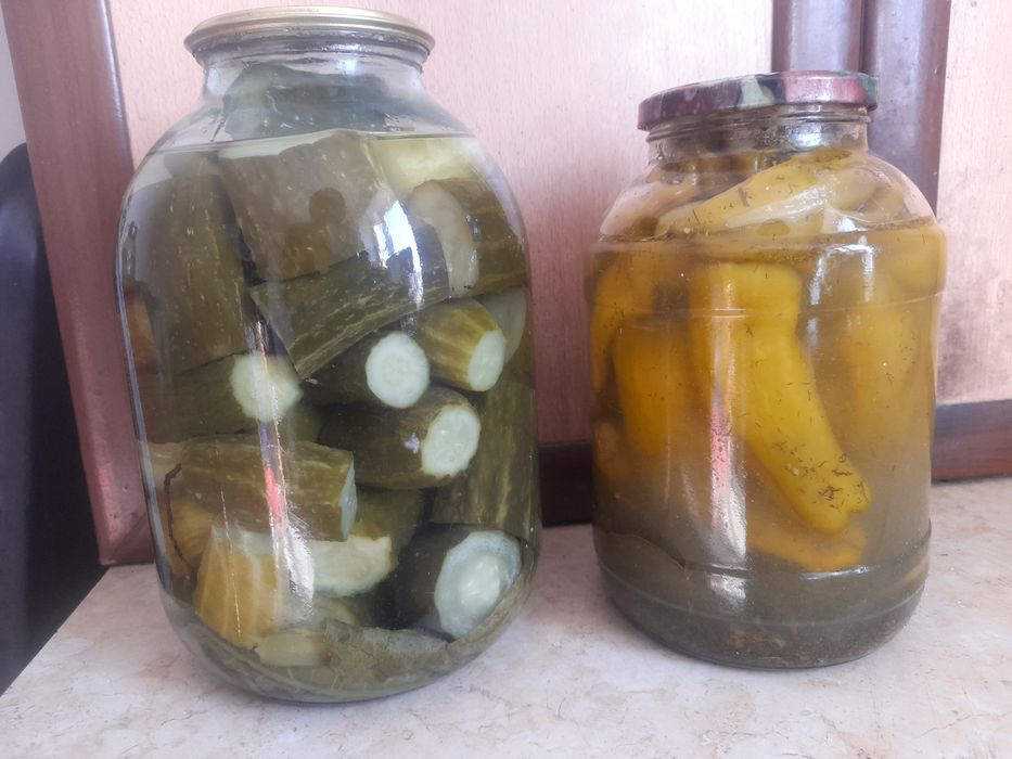 Огурцы домашние жаркенские