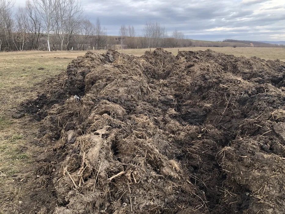 Gunoi de grajd bun pentru fertilizare