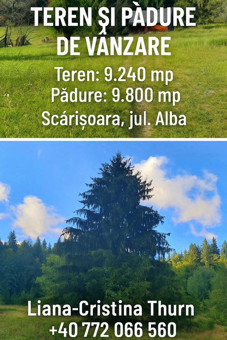 Teren intravilan + pădure  Scărișoara, jud. Alba – 7Euro/mp