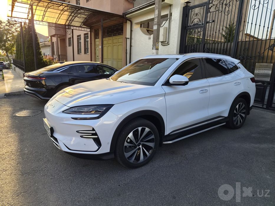 Byd champion 605 тали 2023 yil