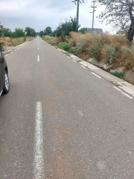 Teren intravilan in Nicseni 5000mp la astfalt - Vedere 3