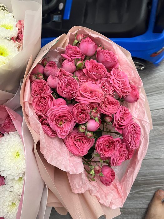 Продам б у цветы в хорошем состоянии