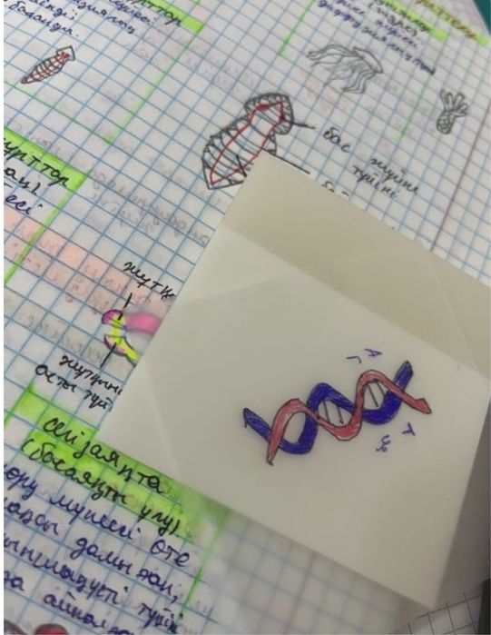 Прозрачные самоклеящиеся стикеры