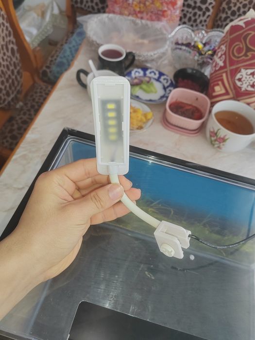 Терариум с ультрафиолетовой лампой. Terarium ultrafiolet cheroq blan