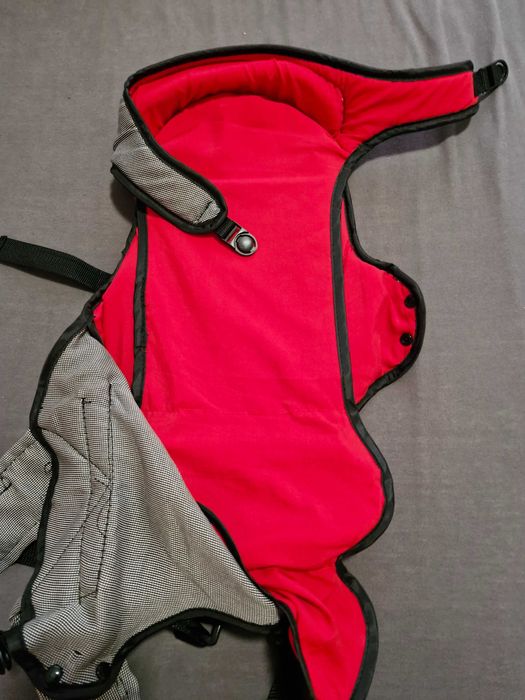 Кенгуро чиполино