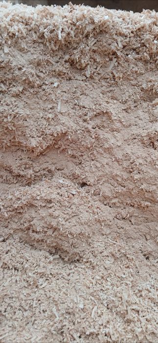 Rumeguș de fag pentru afumat