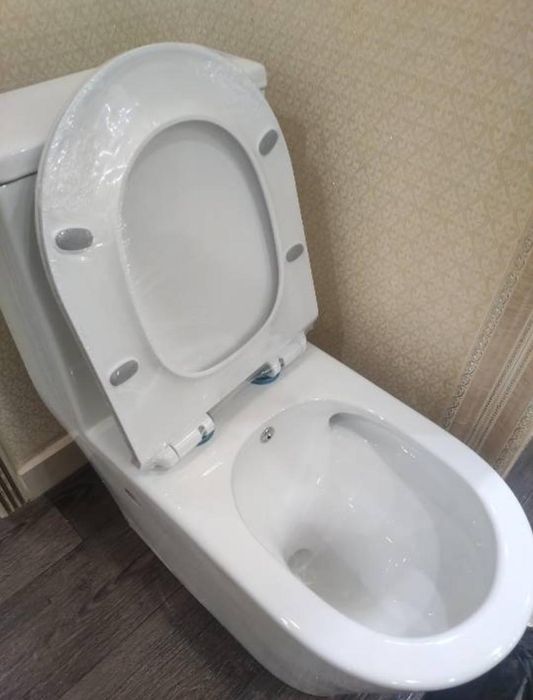 Монолитный унитаз