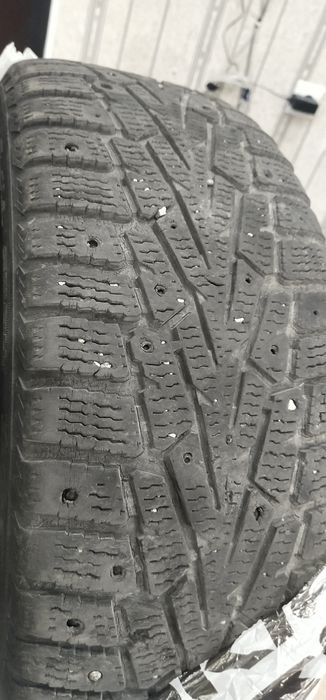 Тегін берем. Қысқы дөңгелек.