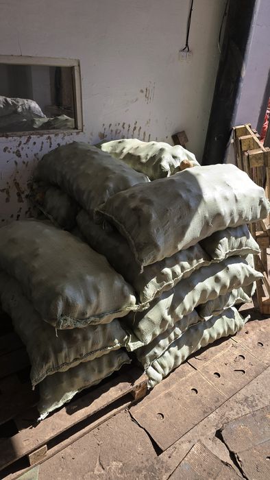 Картошка тендерная