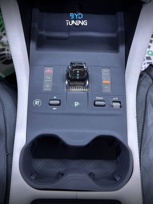 Byd champion smart panel selekon 3v1