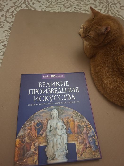 Кошка в добрые руки