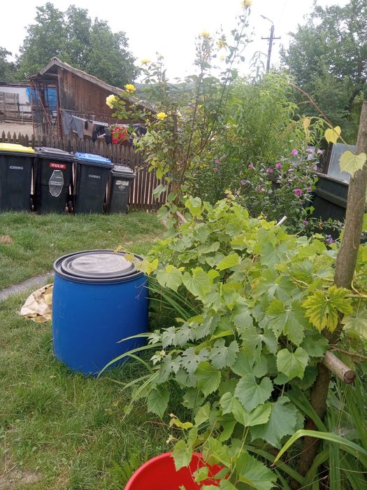 Casă la țară de închiriat