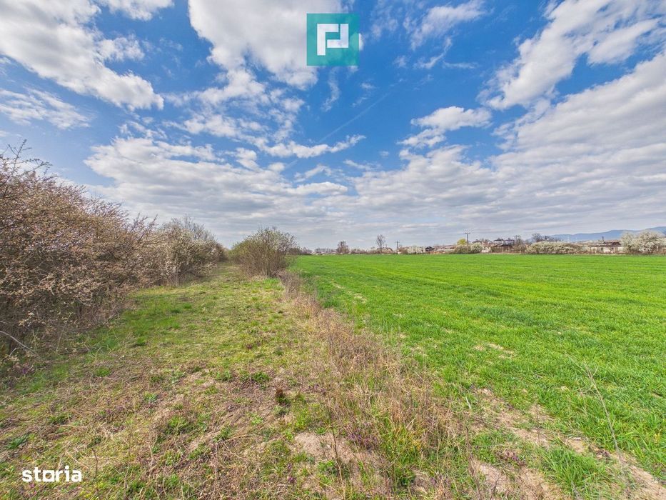 Teren extravilan, 1 ha, în orașul Sebiș, Arad