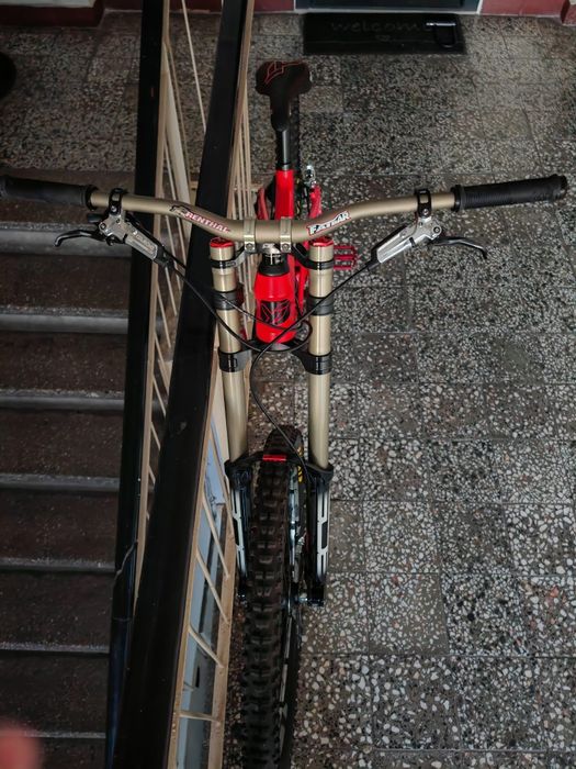 Yt tues Cf pro carbon