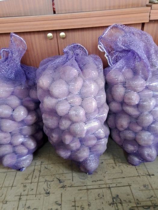 Домашний картофель