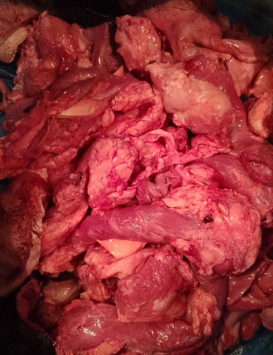 Натуральный корм для собак и кошек!