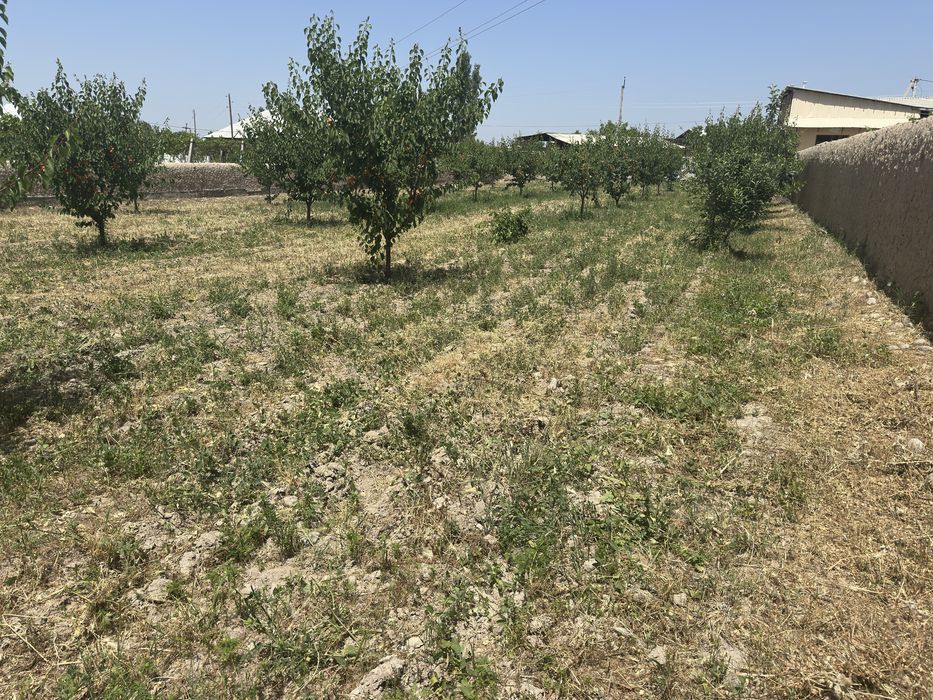 Yer uchastka(chek)sotiladi