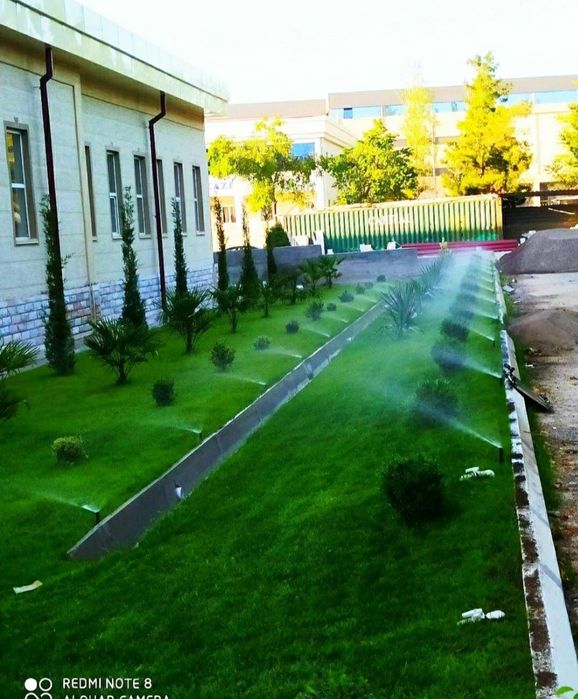 Gazon Ekamiz Narxi 35000min som