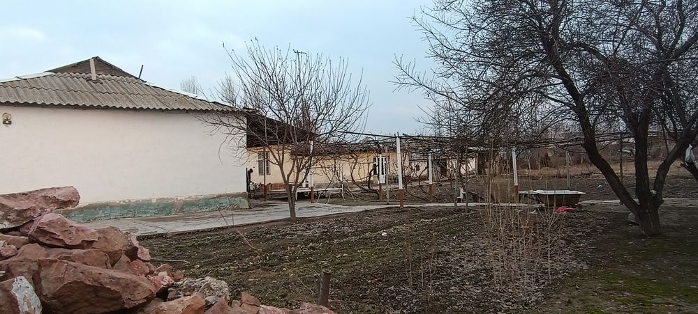 Boʻka Qorabogʻ mfe