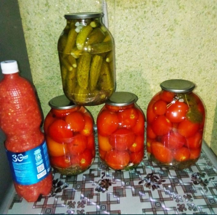 Засолка домашняя 2025 года.