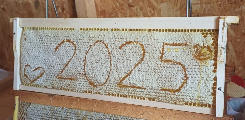 Miere naturala poliflora