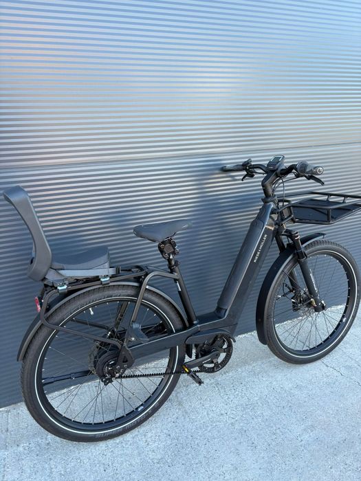 Cargo Bike Bicicleta Electrica Riese & Muller Bosch