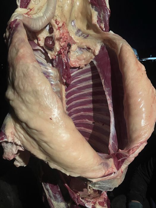 Тай жабагы  сатылады