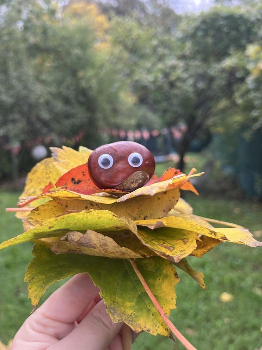 Vand afacere la cheie - centru educational in natura