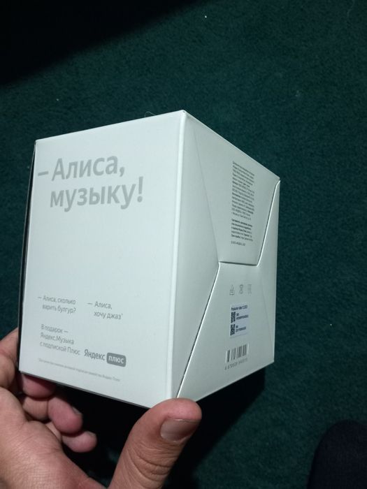 Alisa mini 2 aqlli kalonkasi