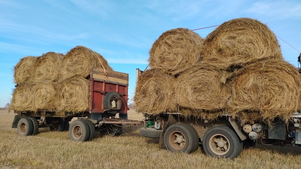 Продам КамАЗ с прицепом