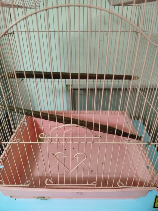 Клетка для птички. Новая